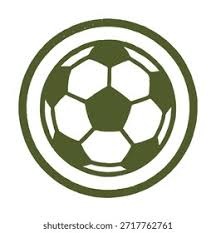 科罗拉多洛基队由于高海拔因素，单季主场总得分再度领跑全联盟