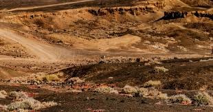 第九批补足：2015-2024 历史关键新闻（第1201-1300条）